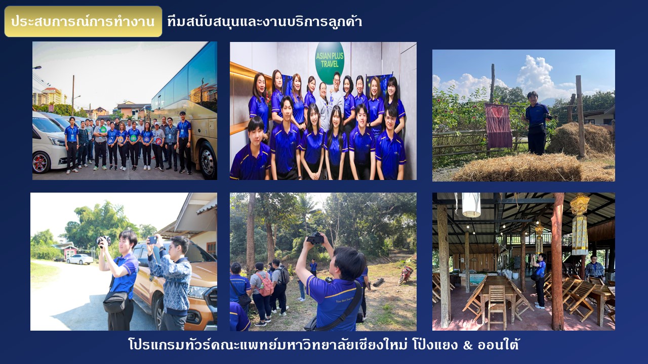 ทำงานกับธุรกิจจริง — Asian Plus Travel Internship