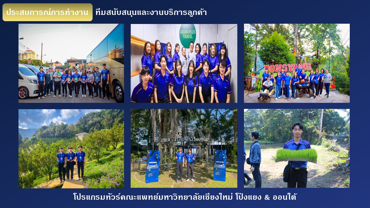 ทำงานกับธุรกิจจริง — Asian Plus Travel Internship