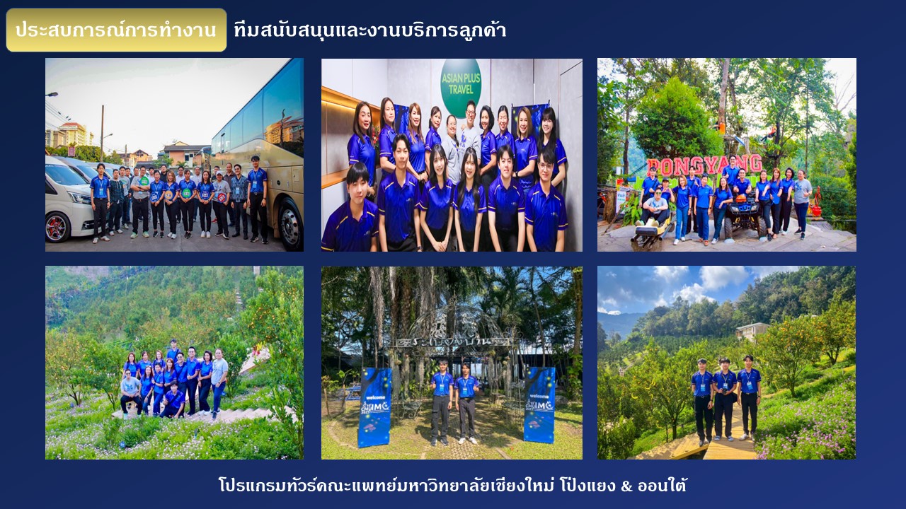 ทำงานกับธุรกิจจริง — Asian Plus Travel Internship